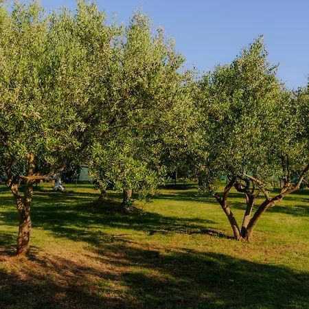 Bazilika Casa vacanze