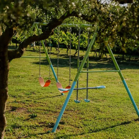 Bazilika Rovigno
